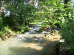 the stream upriver